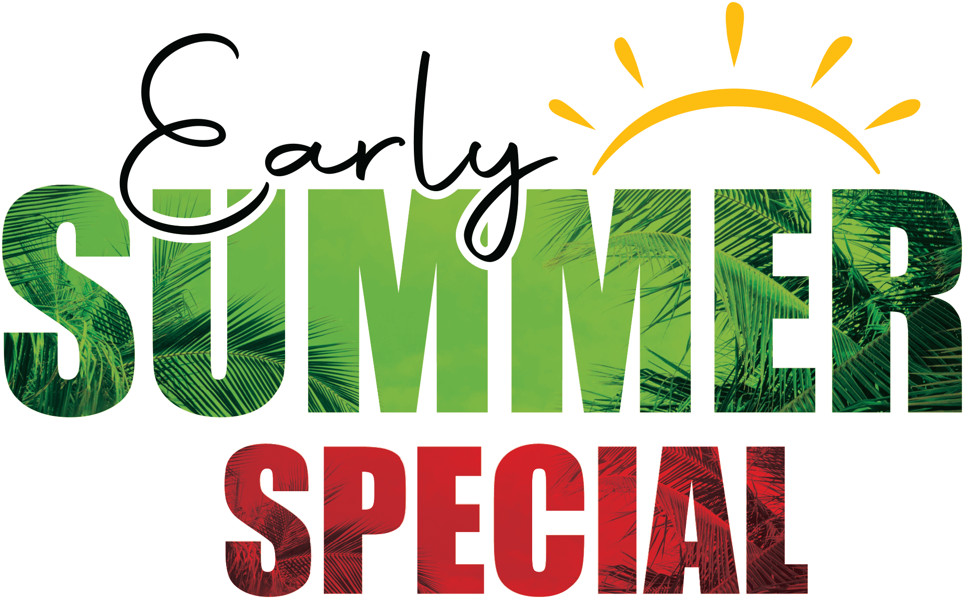 Early Summer Special Logo